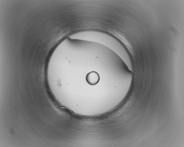 X0000115050489200911231157