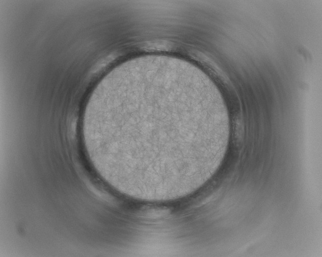 X0000115050491200911231157