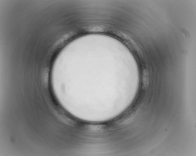 X0000115050495200911231156