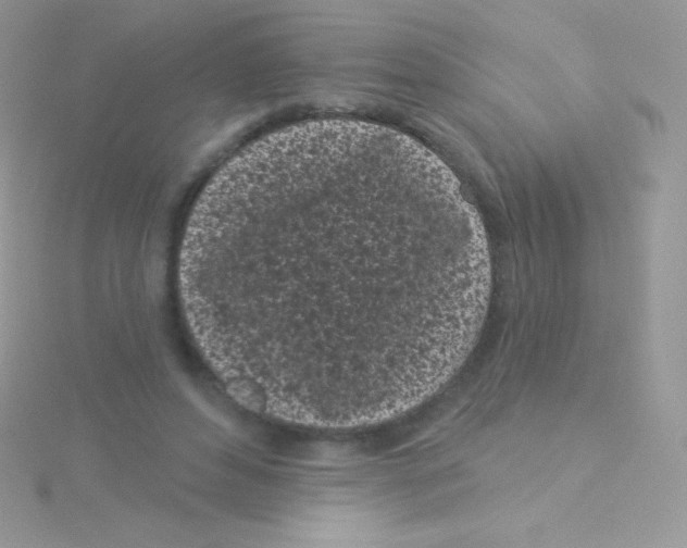 X0000115050496200911231156