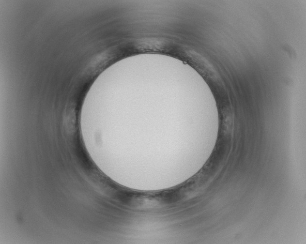 X0000115050498200911231156