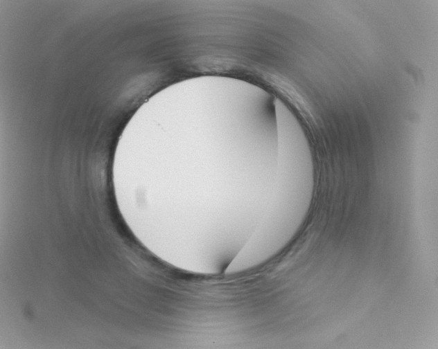 X0000115050501200911231156