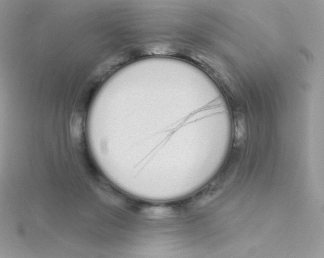 X0000115050503200911231156