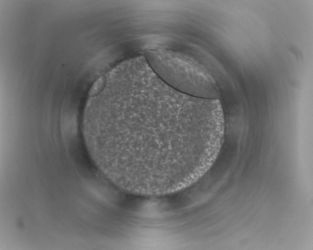 X0000115050504200911231156