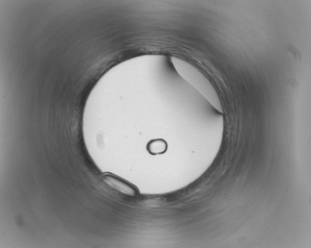 X0000115050505200911231156