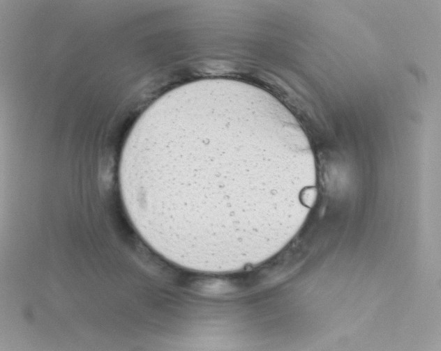 X0000115050507200911231156