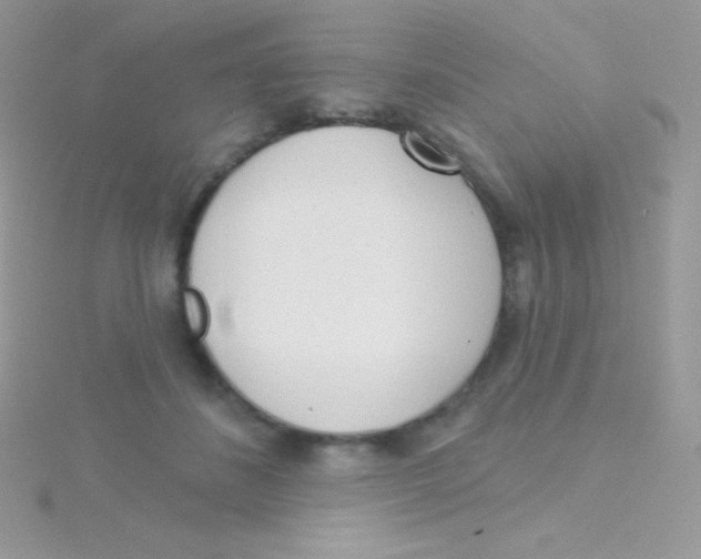 X0000115050508200911231156