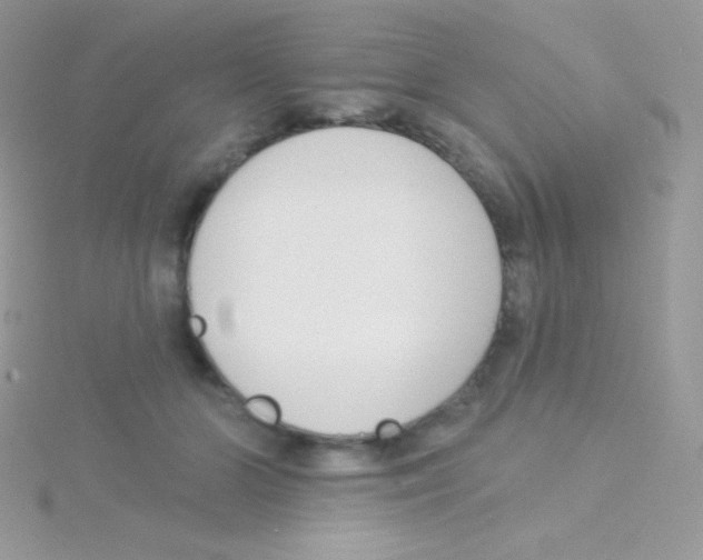 X0000115050510200911231156