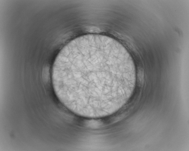 X0000115050511200911231156