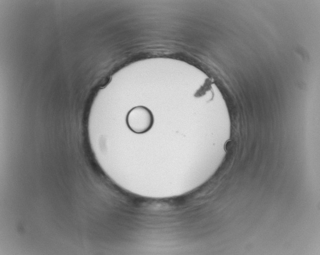 X0000115050512200911231156