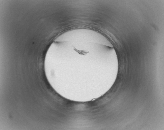 X0000115050513200911231156