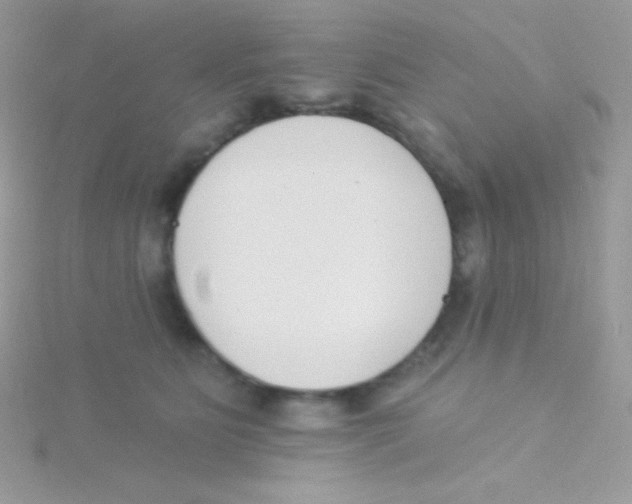 X0000115050515200911231156