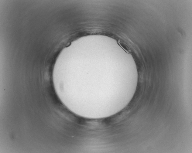 X0000115050516200911231156