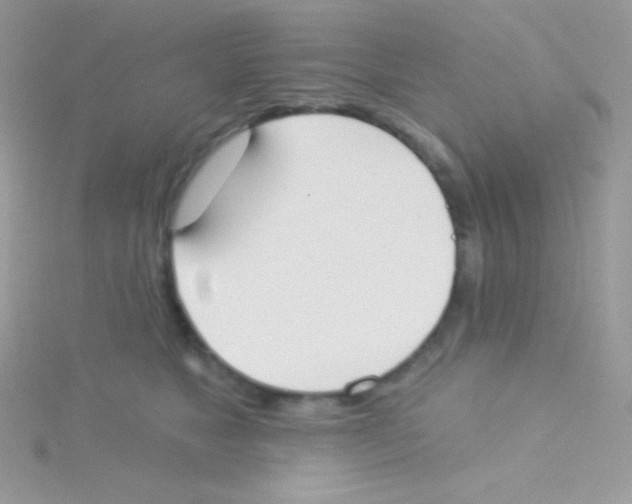 X0000115050517200911231156