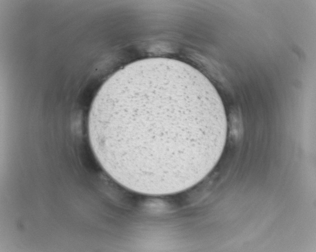 X0000115050519200911231156