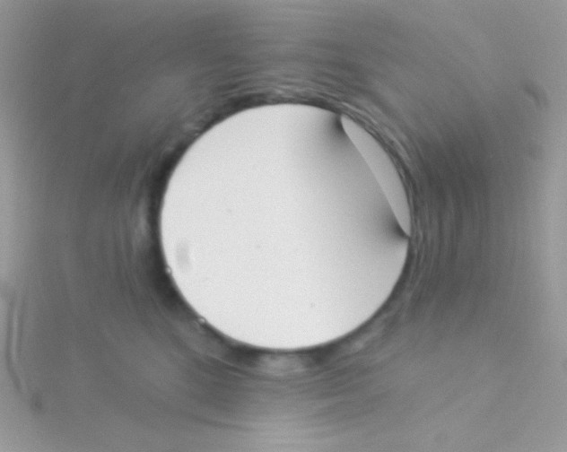 X0000115050520200911231156