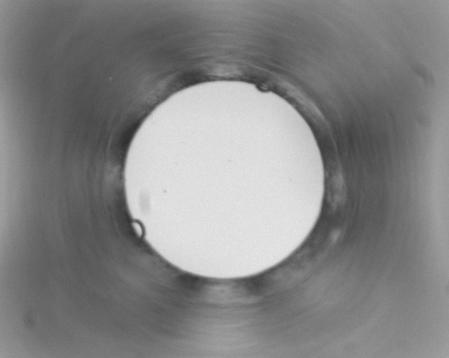 X0000115050521200911231156