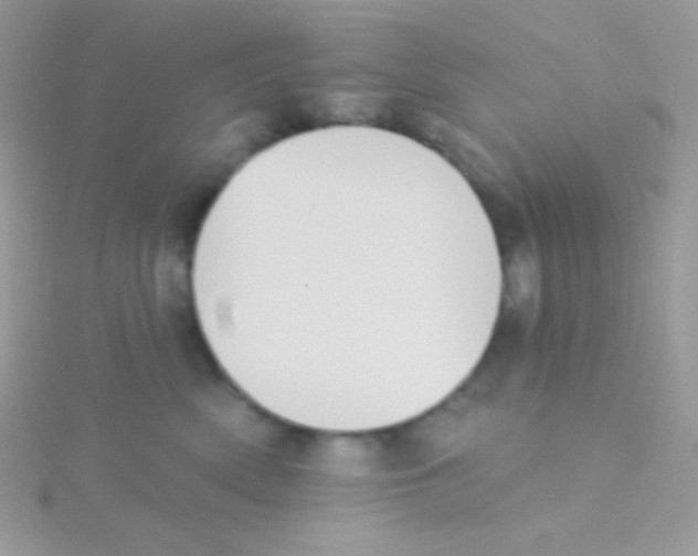 X0000115050522200911231156