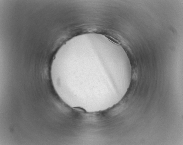 X0000115050524200911231156