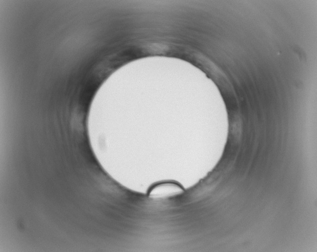 X0000115050525200911231156