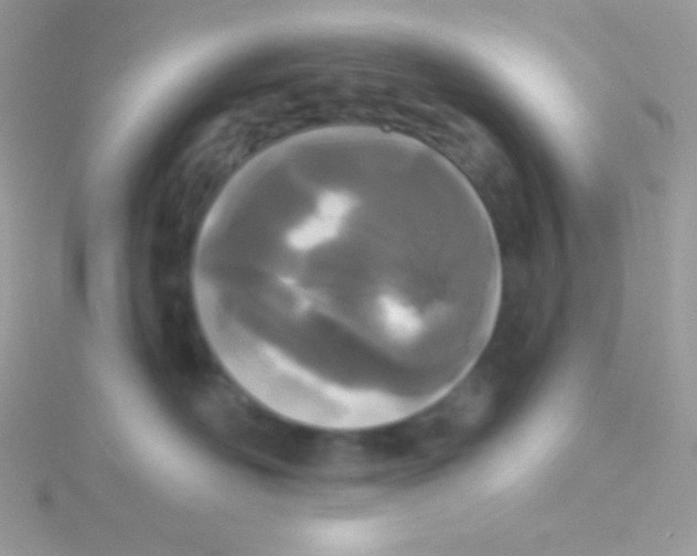 X0000115050526200911231156