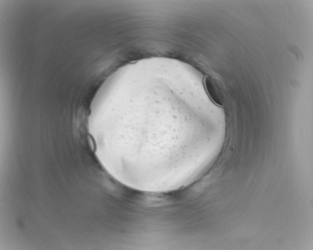 X0000115050528200911231156