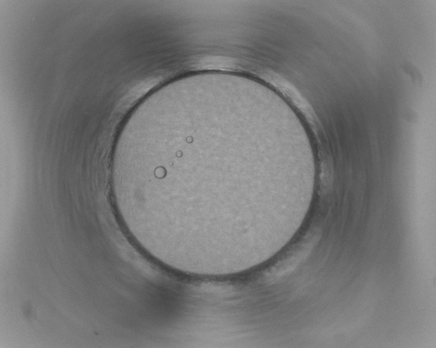 X0000115050529200911231155