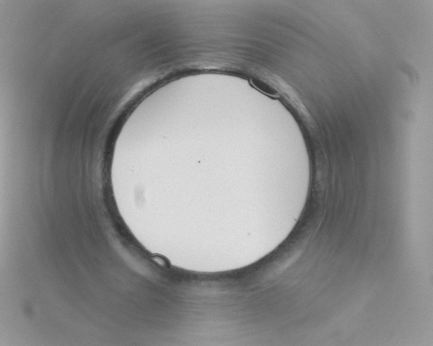 X0000115050530200911231155