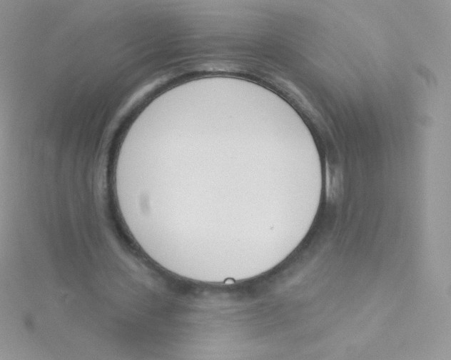 X0000115050531200911231155