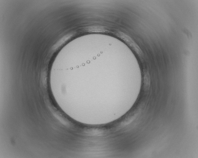 X0000115050533200911231155