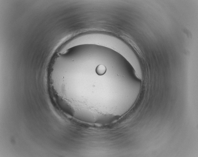 X0000115050534200911231155