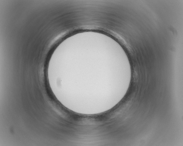 X0000115050535200911231156