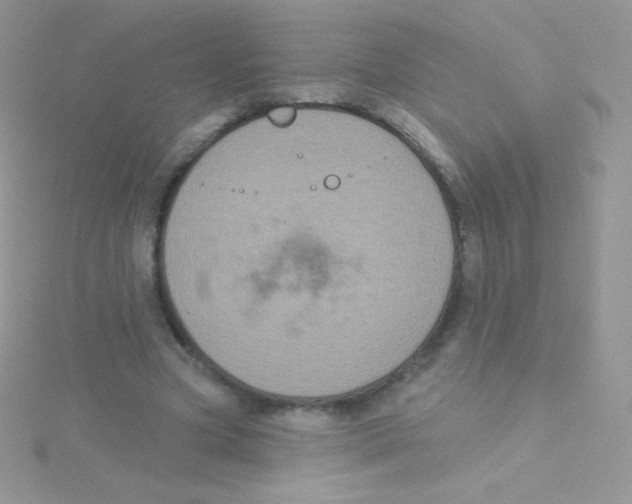 X0000115050537200911231156