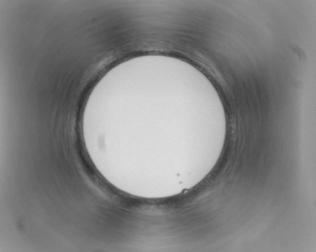 X0000115050538200911231156