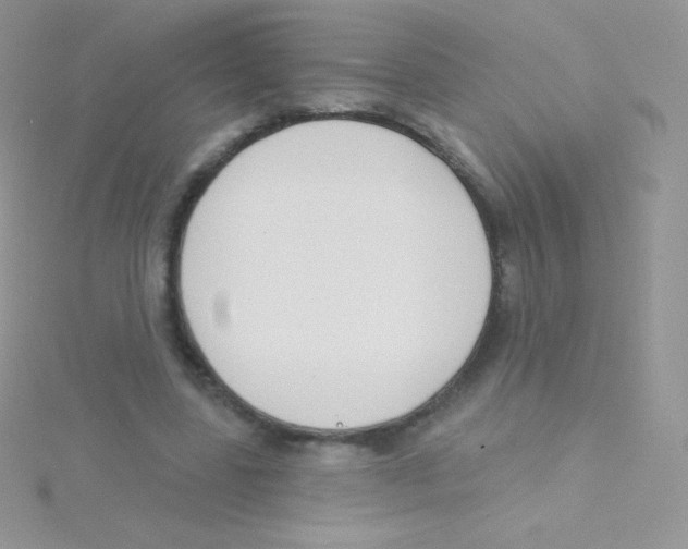 X0000115050539200911231156