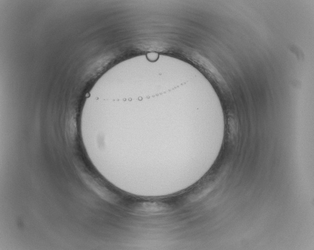 X0000115050541200911231156