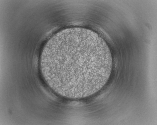 X0000115050542200911231156