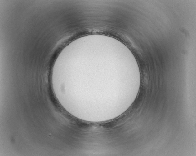 X0000115050543200911231156