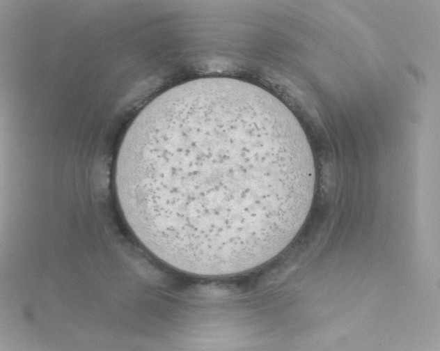 X0000115050545200911231156