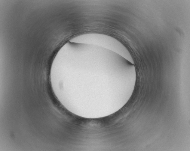 X0000115050546200911231156