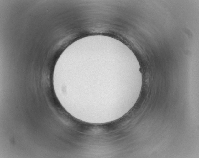 X0000115050547200911231156