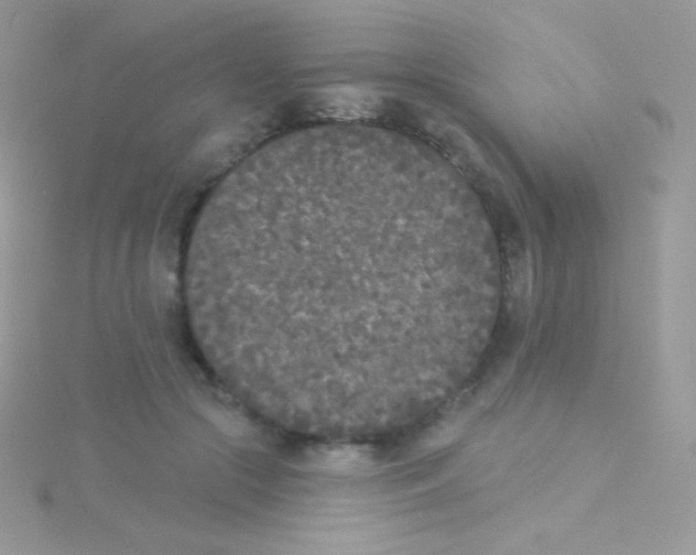 X0000115050553200911231156