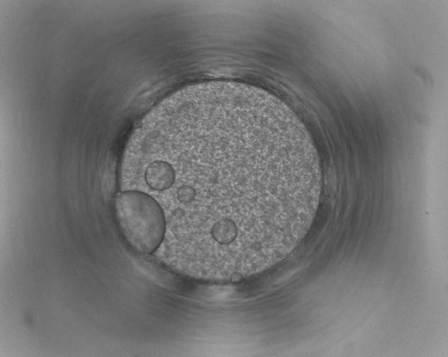 X0000115050554200911231156