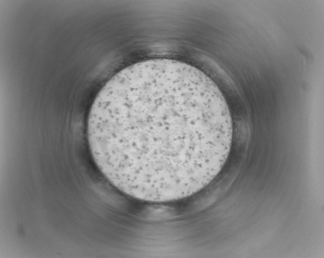 X0000115050557200911231156