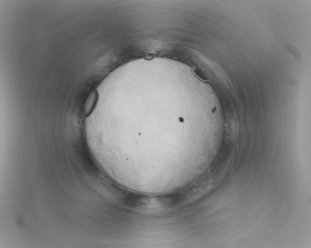 X0000115050558200911231156