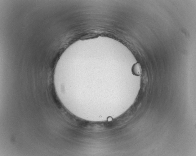 X0000115050559200911231156