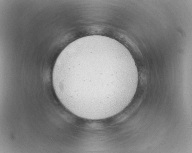 X0000115050561200911231156