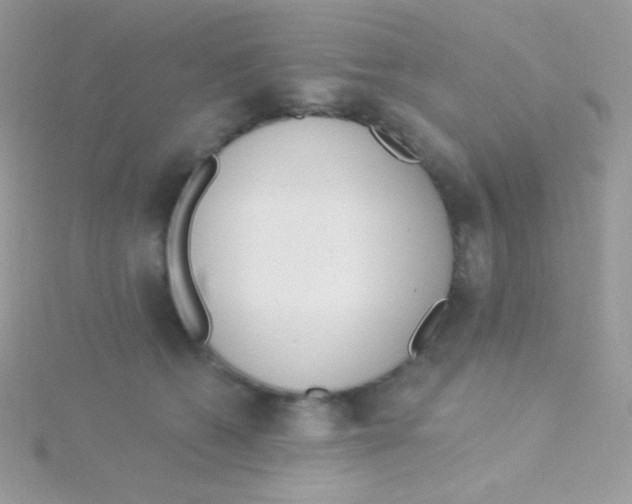 X0000115050562200911231156