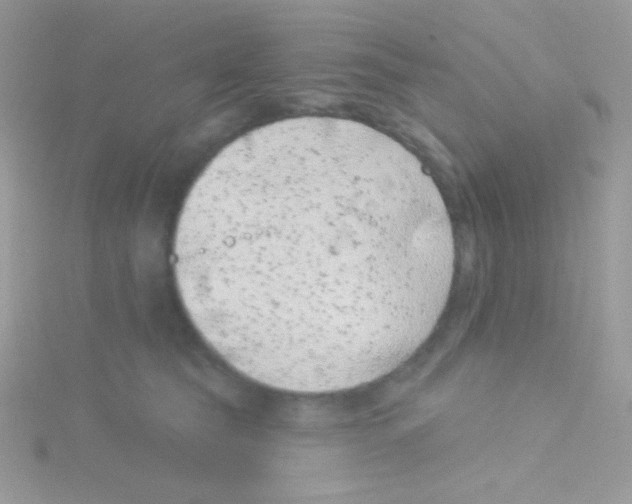 X0000115050565200911231156