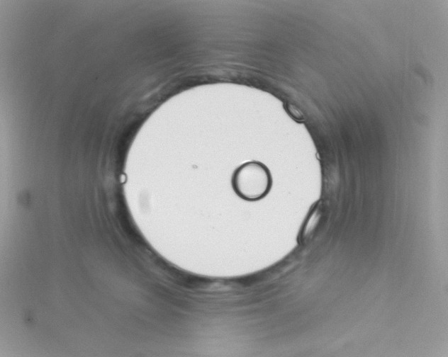 X0000115050566200911231156